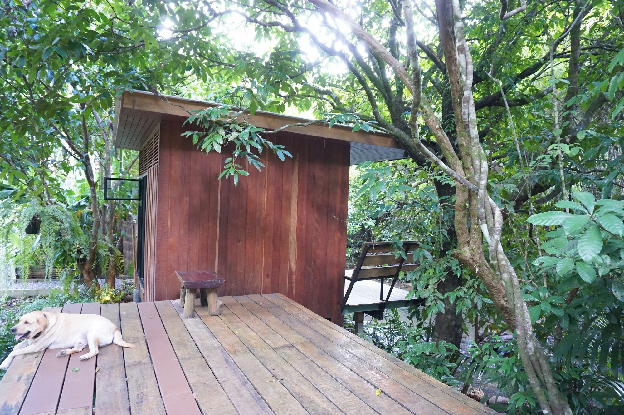 Bannaimong Treehouse Villa Ranong Exterior photo